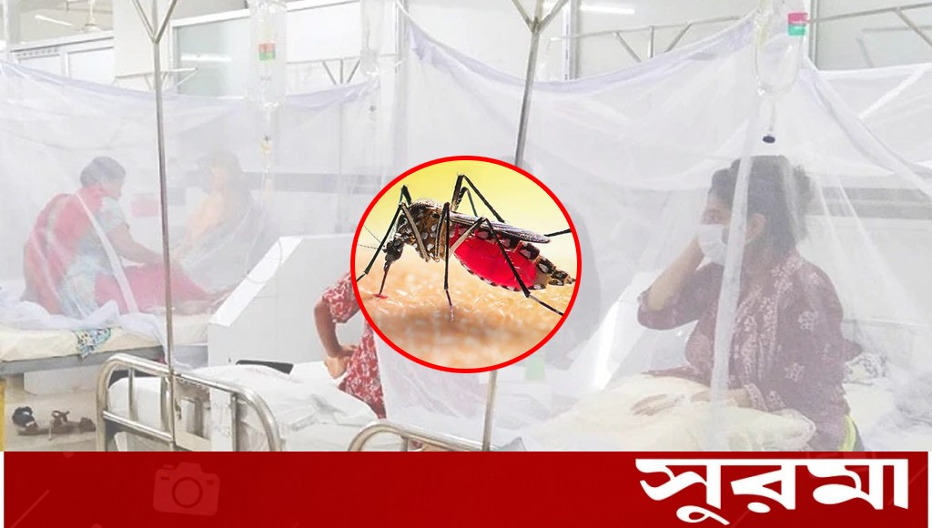 ডেঙ্গুতে আরও ২ জনের মৃত্যু, হাসপাতালে ভর্তি ১২৩২