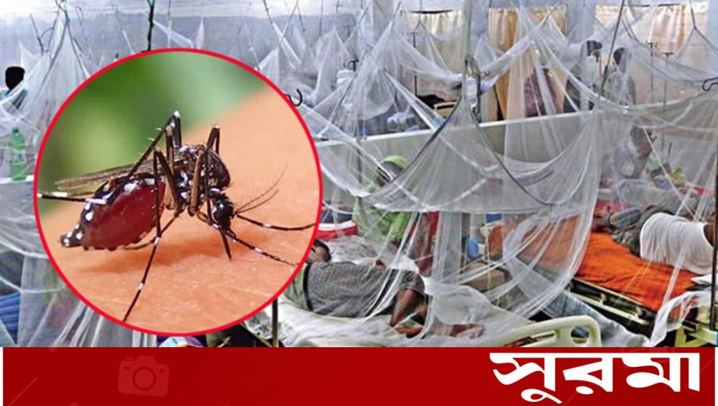 দেশে ২৪ ঘণ্টায় ডেঙ্গুতে ৫ জনের মৃত্যু, নতুন রোগী ১৪৮৪