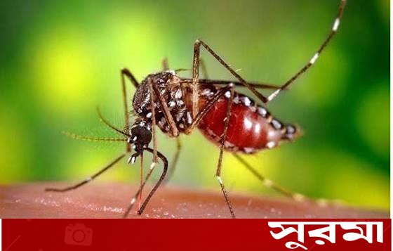 ডেঙ্গুতে নতুন করে ৩ জনের মৃত্যু ও আক্রান্তের তথ্য