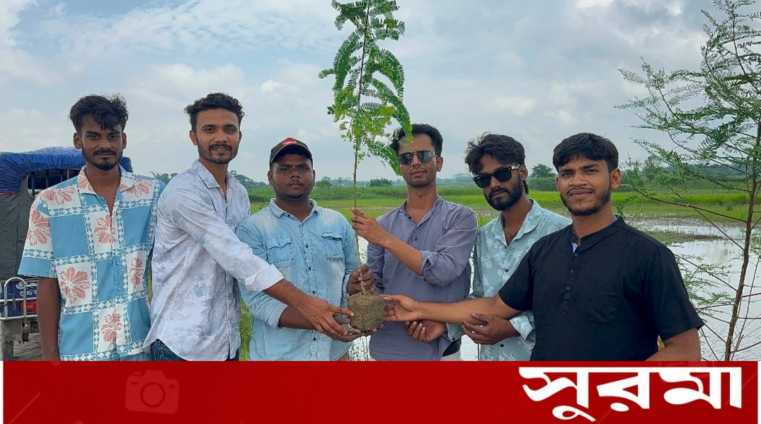 সদরপুর উপজেলা প্রশাসন ও ছাত্রদলের বৃক্ষরোপণ কর্মসূচি