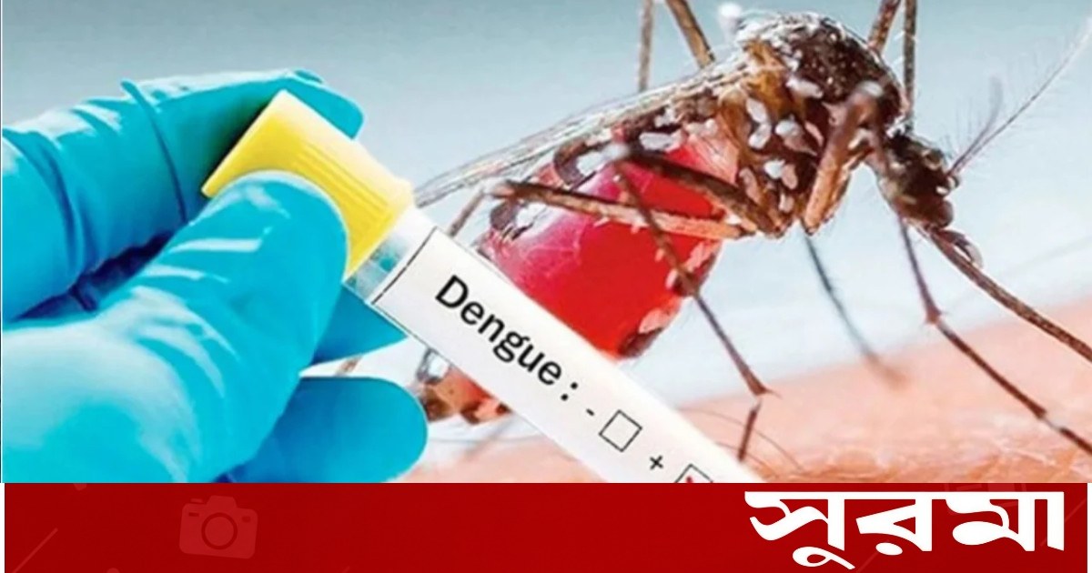 রেকর্ড সংখ্যক ডেঙ্গু রোগী হাসপাতালে, ২৪ ঘণ্টায় মৃত্যু ছয়জনের