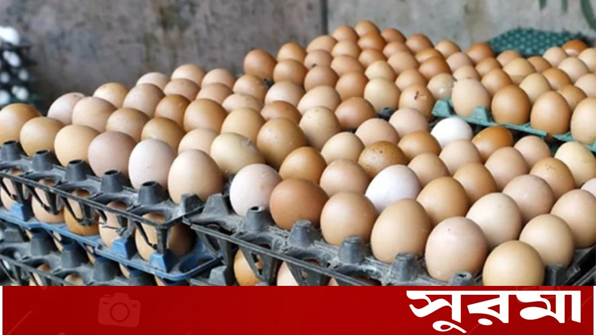 ডিমের বাজার স্থিতিশীল রাখতে ব্যবসায়ীদের প্রতি বাণিজ্যমন্ত্রীর আহ্বান