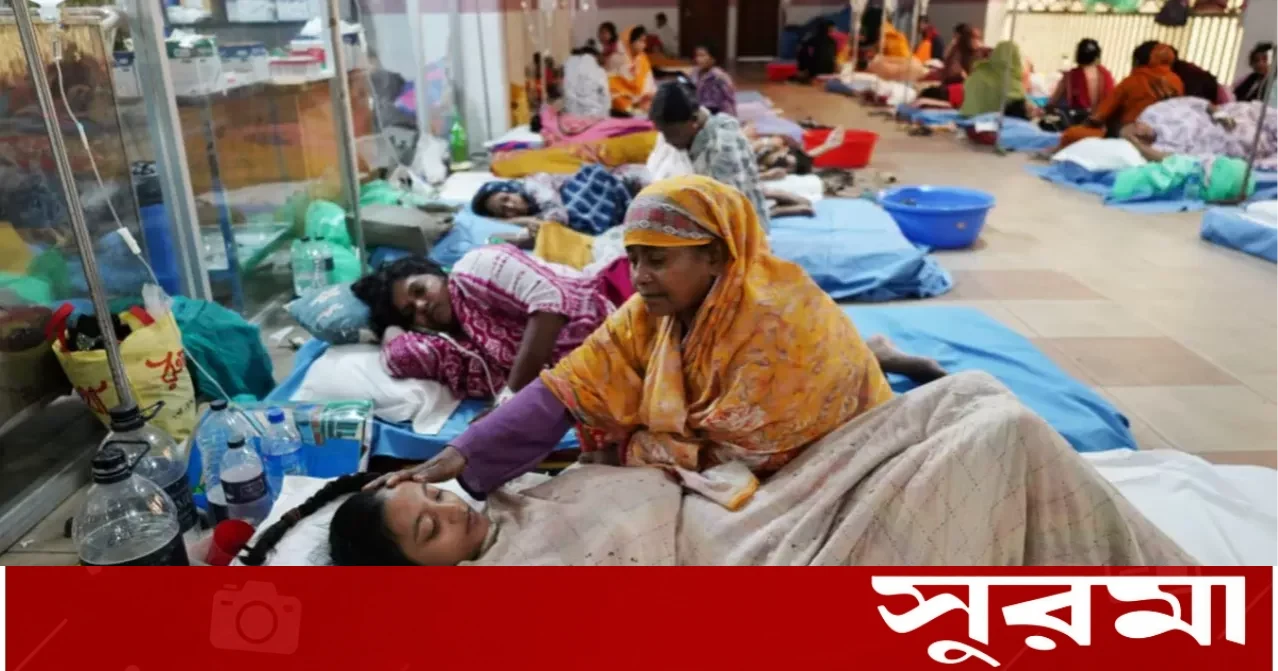 ডেঙ্গুতে ২৪ ঘণ্টায় আরও ৮ জনের মৃত্যু, হাসপাতালে ভর্তি ১৪৩২