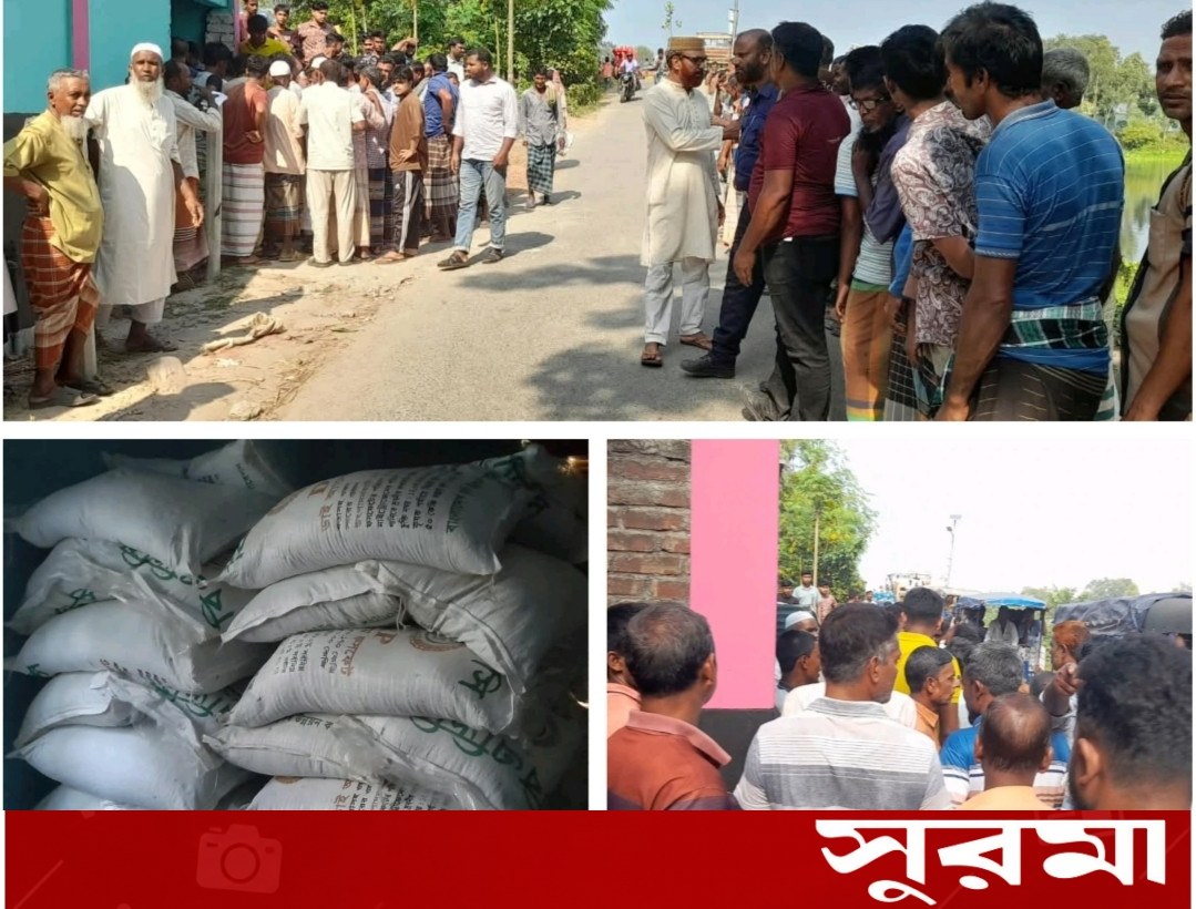 চাটমোহরে অবৈধভাবে মজুত ১১৪ বস্তা সার জব্দ ও বিক্রি